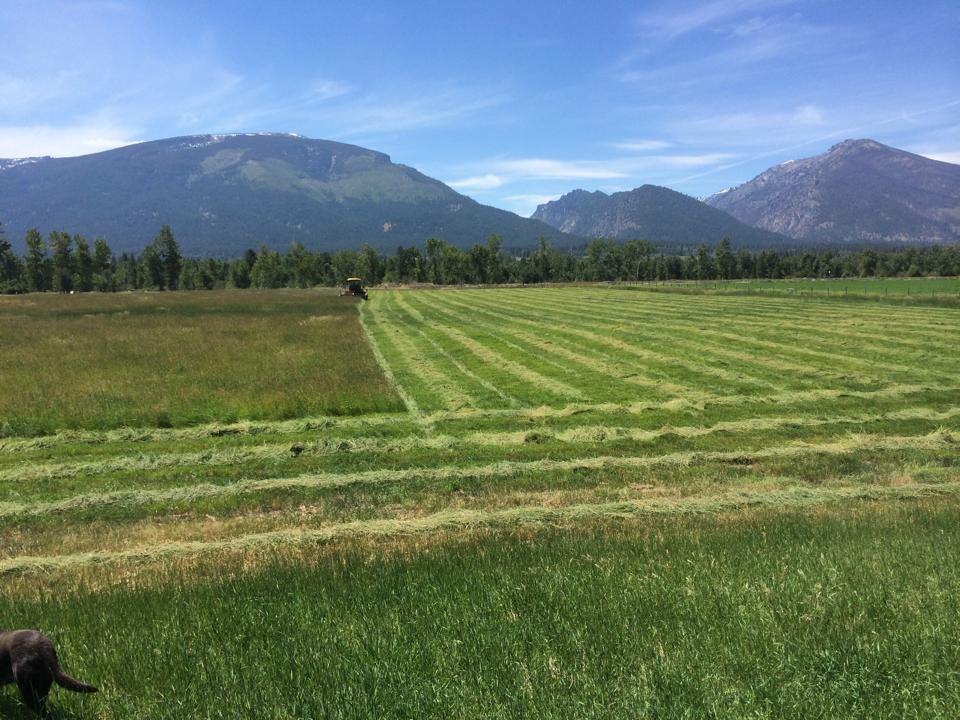 Bitterroot Valley Montana Farm Stay Bitterroot Valley Montana Farm Stay
