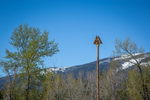 owl house on abc acres in western montana