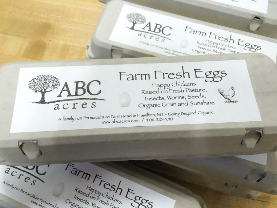 Montana Farm to Table Food eggs