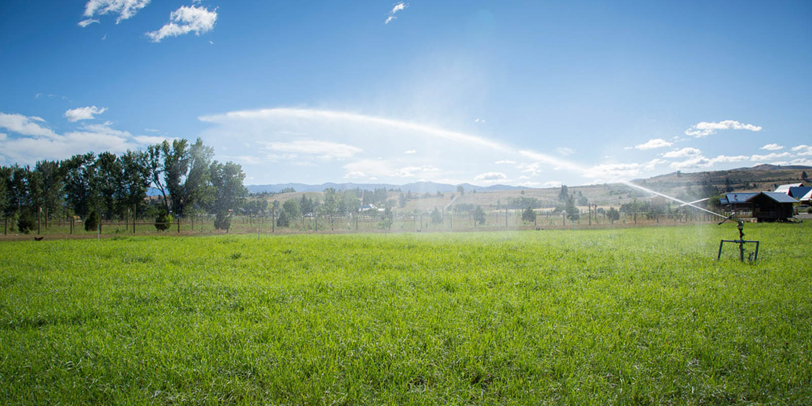 abc-acres-what-we-grow-head